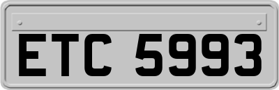 ETC5993