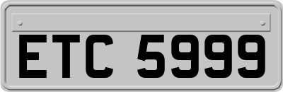 ETC5999