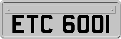ETC6001