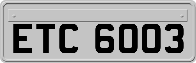 ETC6003