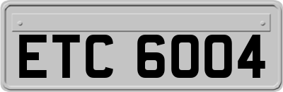 ETC6004