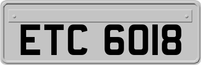 ETC6018