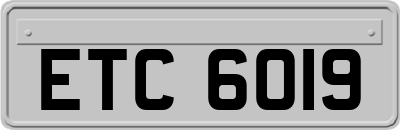 ETC6019