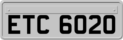 ETC6020