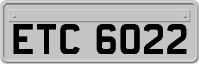 ETC6022
