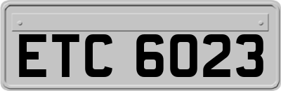ETC6023