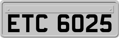 ETC6025