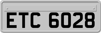 ETC6028