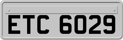 ETC6029
