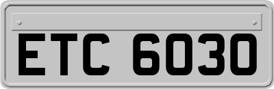 ETC6030