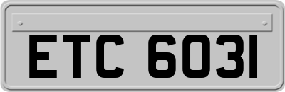 ETC6031