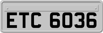 ETC6036