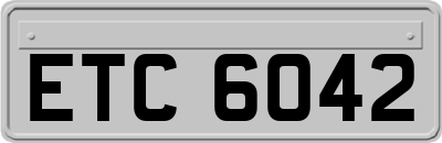 ETC6042