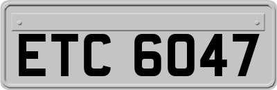 ETC6047