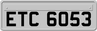 ETC6053