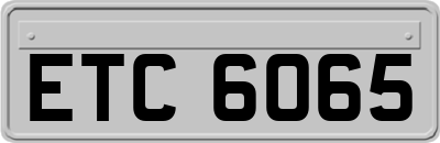 ETC6065