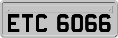 ETC6066