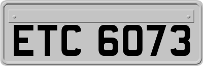 ETC6073