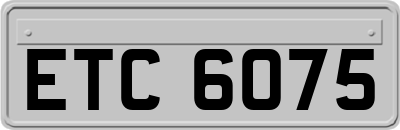 ETC6075