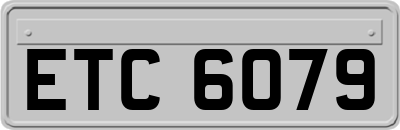 ETC6079