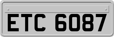 ETC6087