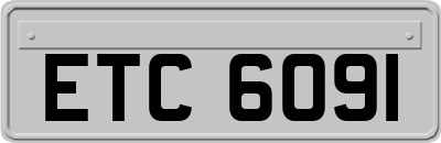 ETC6091