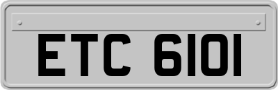 ETC6101
