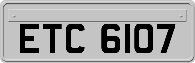 ETC6107