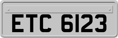 ETC6123