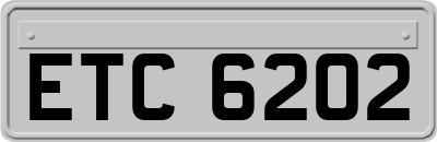 ETC6202