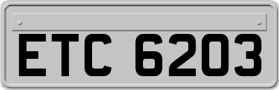 ETC6203
