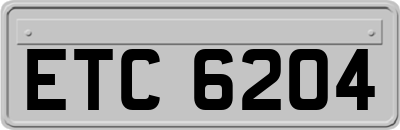 ETC6204