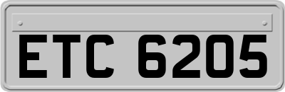 ETC6205