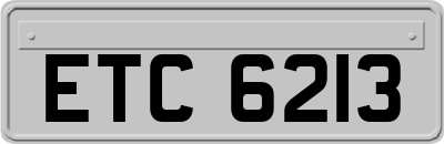 ETC6213