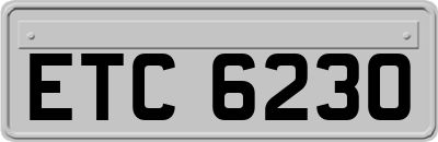 ETC6230