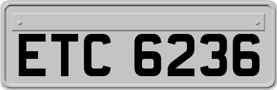 ETC6236