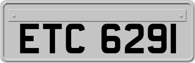 ETC6291