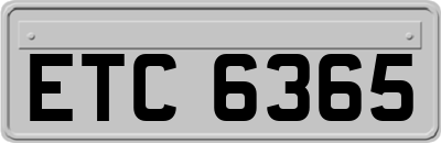 ETC6365