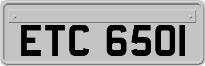 ETC6501