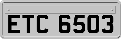 ETC6503