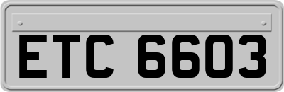 ETC6603