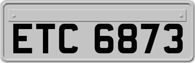 ETC6873