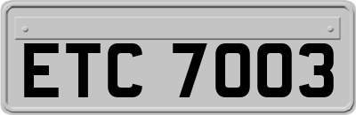 ETC7003