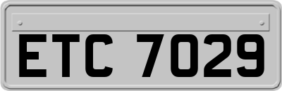 ETC7029