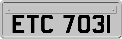 ETC7031
