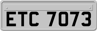 ETC7073