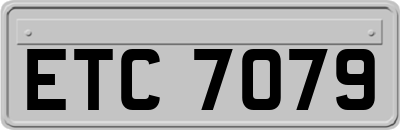 ETC7079