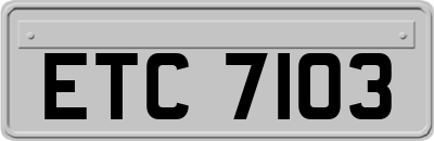 ETC7103