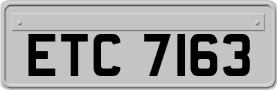 ETC7163