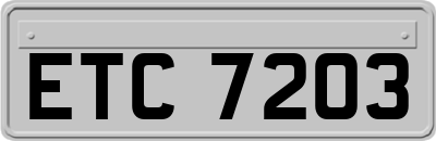 ETC7203